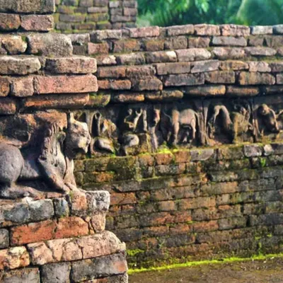 Uttar Pradesh Buddhist Tourism Sees Nine-Fold Surge in Foreign Visitors