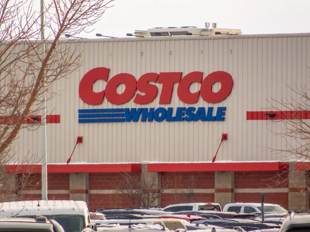 Costco'da Satışa Sunulan 5 Katlı Kedi Ağacı: Pati Dostlarınız İçin Lüks Bir Yaşam Alanı