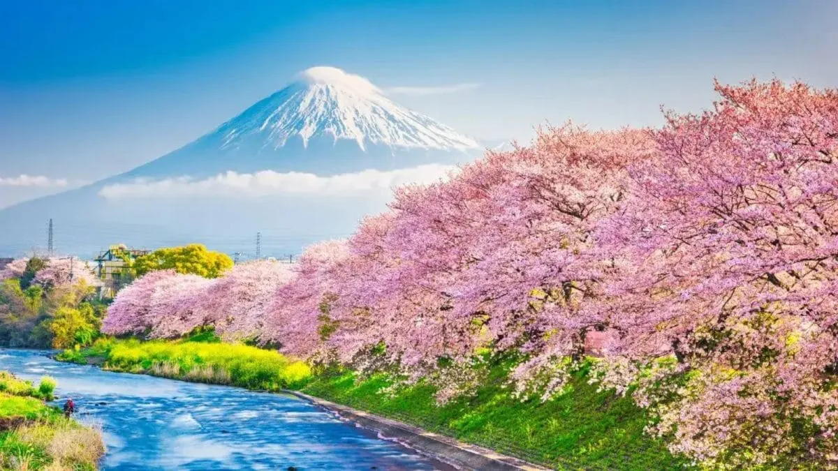 2026'da Japonya: Hintli Gezginlerin Yeni Gözdesi, Anime ve Suşi Ötesinde Bir Keşif