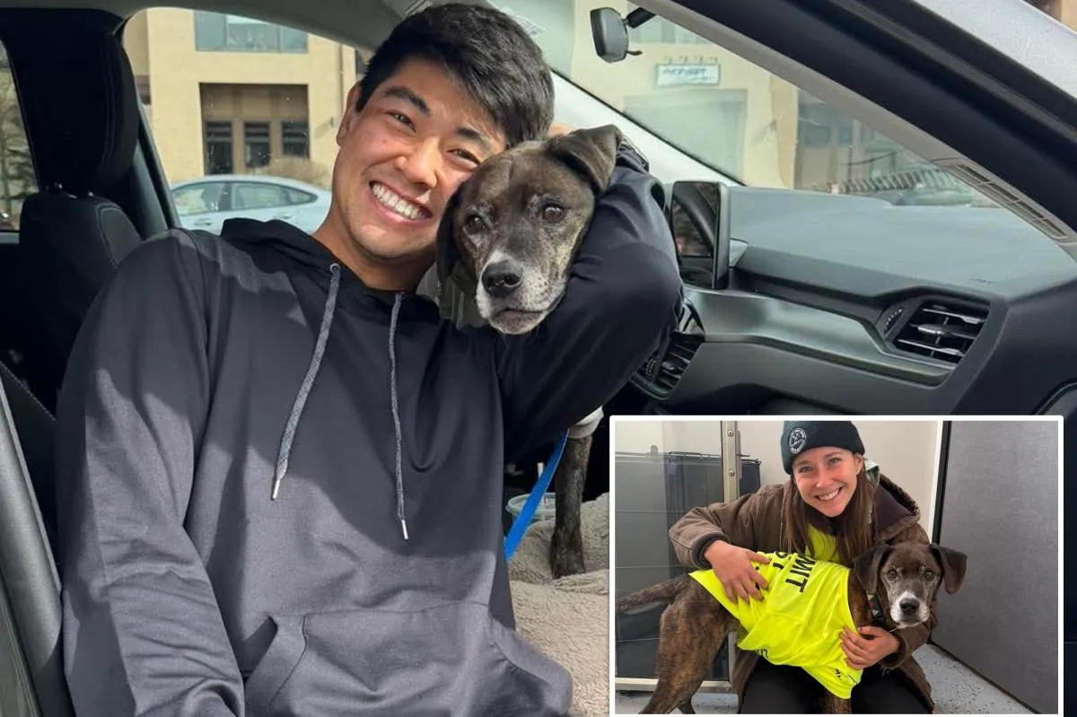 43 Gün Sonra Vahşi Doğadan Kurtulan Köpek Rocky, Sahibiyle Buluştu