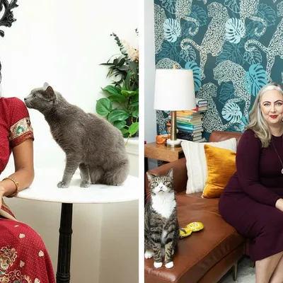 قصص مؤثرة: نساء وقططهن يتحدين الصورة النمطية لـ "سيدة القطط المجنونة"