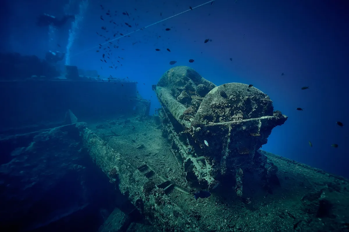 Mısır Sularında Batık Bir Efsane: SS Thistlegorm ve Deniz Yaşamına Ev Sahipliği