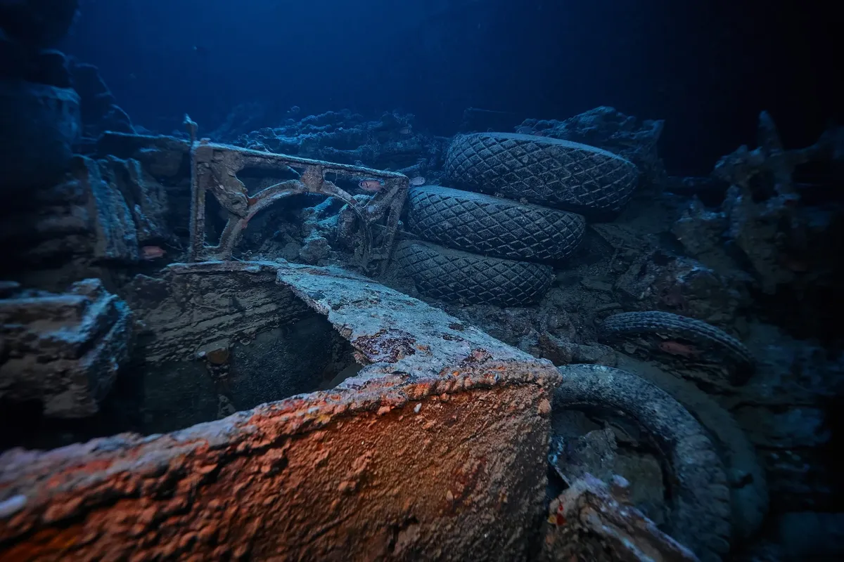 Mısır Sularında Batık Bir Efsane: SS Thistlegorm ve Deniz Yaşamına Ev Sahipliği