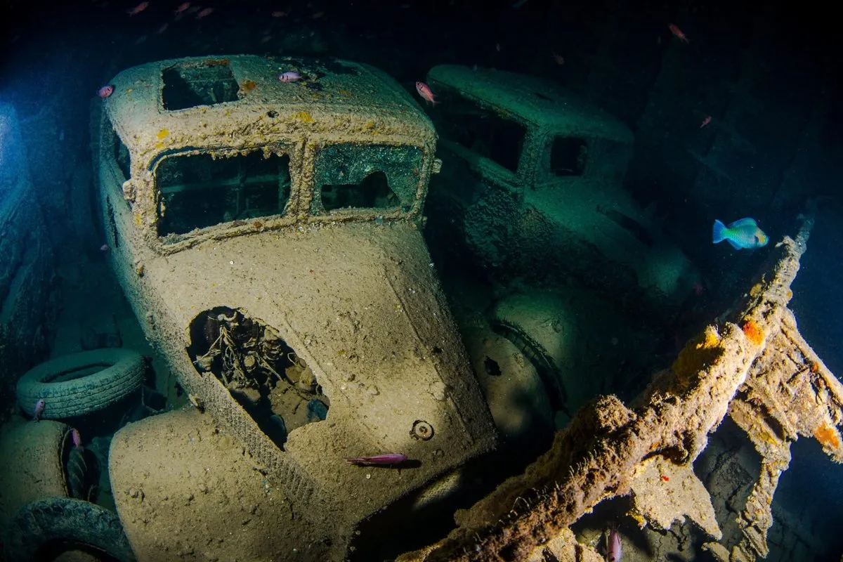 Mısır Sularında Batık Bir Efsane: SS Thistlegorm ve Deniz Yaşamına Ev Sahipliği