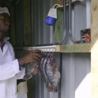 Solar-Powered Vertical Fish Farms Offer Sustainable Aquaculture Solution in Kenya