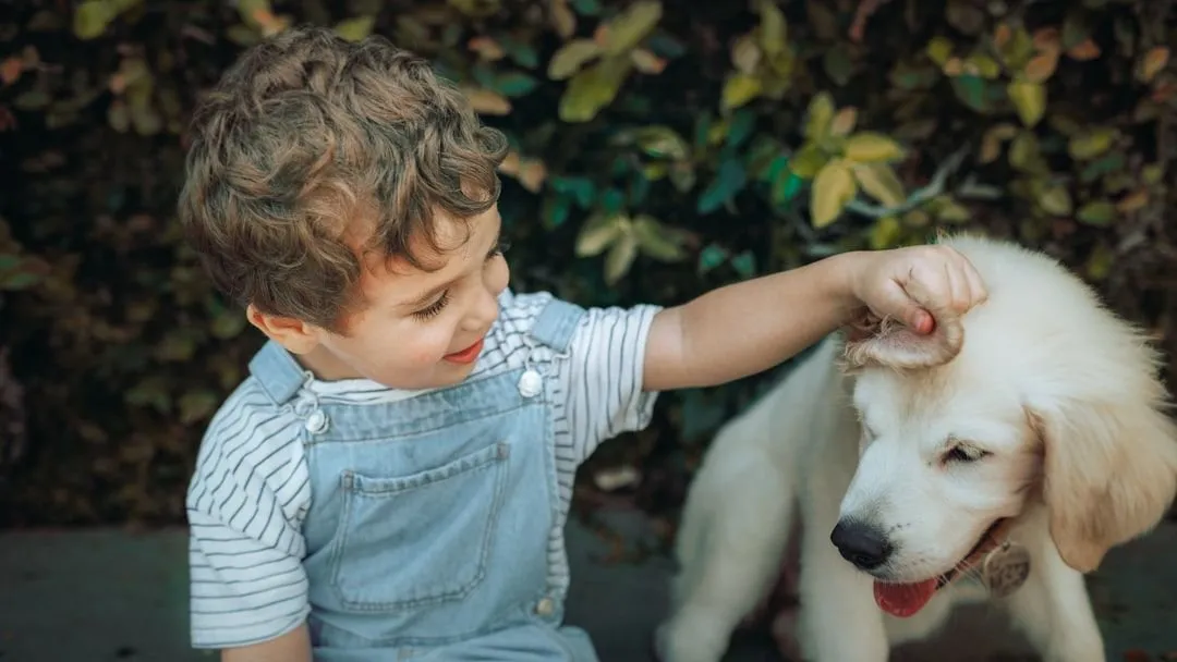 Yüksek Hassasiyetli İnsanlar ve Köpekleri: Duygusal Bağın Bilimsel Anatomisi