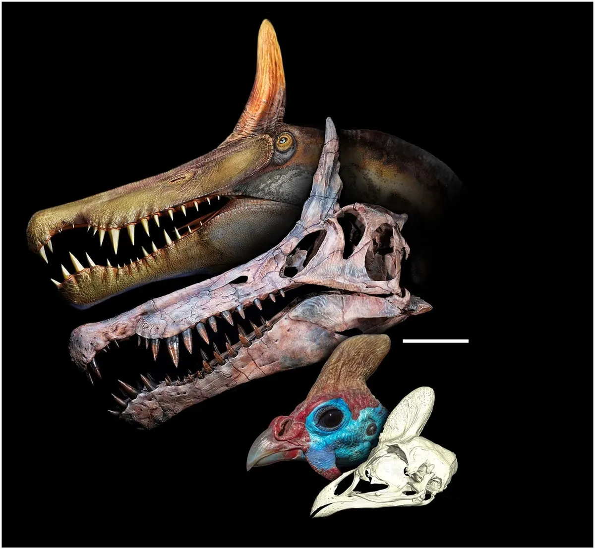 Neandertal-İnsan İlişkisi, Dev Yıldızlar ve Fosiller: Haftanın Bilimsel Keşifleri