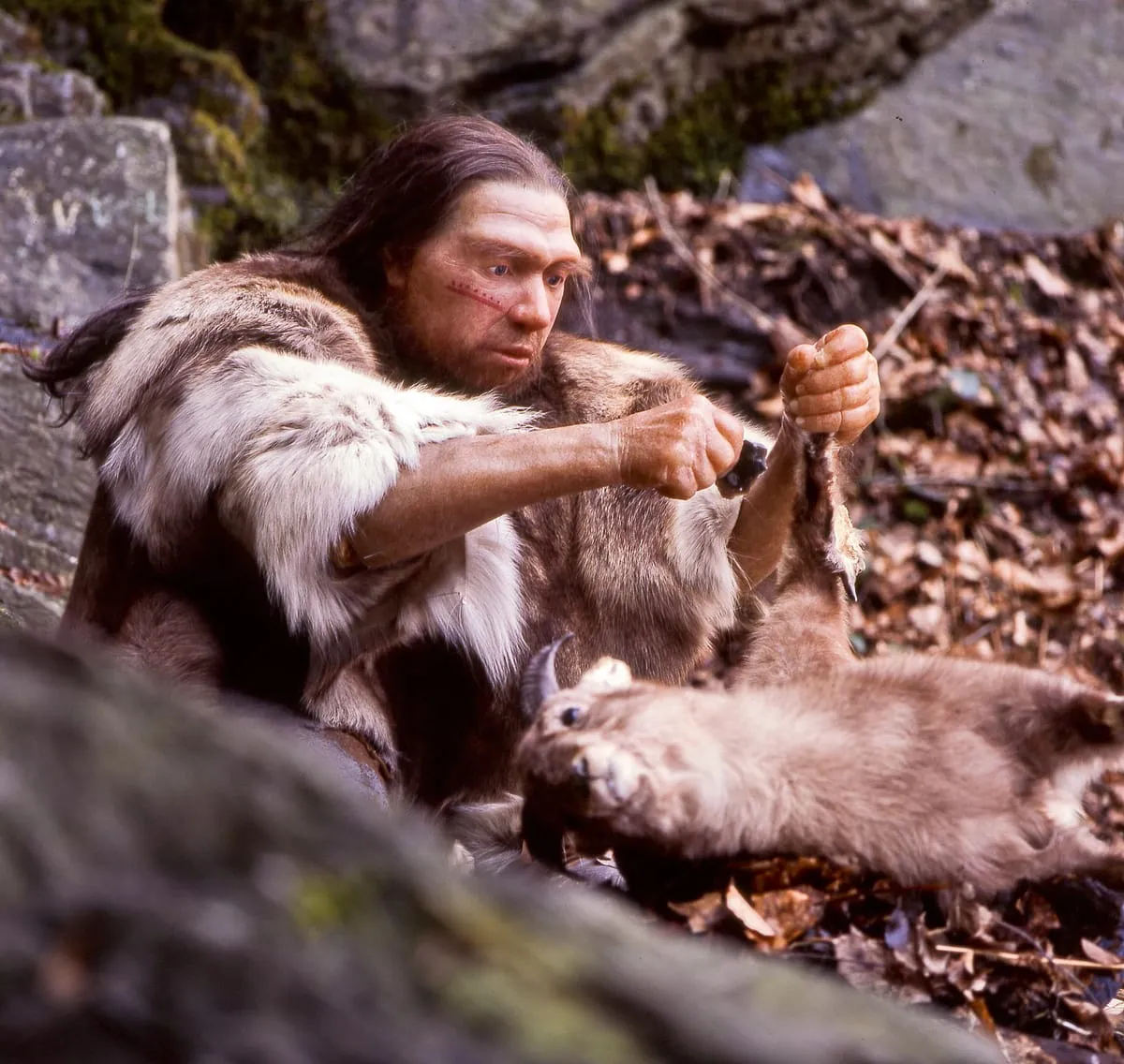 Neandertal-İnsan İlişkisi, Dev Yıldızlar ve Fosiller: Haftanın Bilimsel Keşifleri