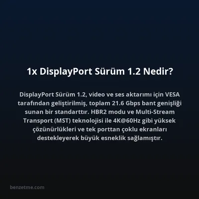 1x DisplayPort Sürüm 1.2 Nedir?
