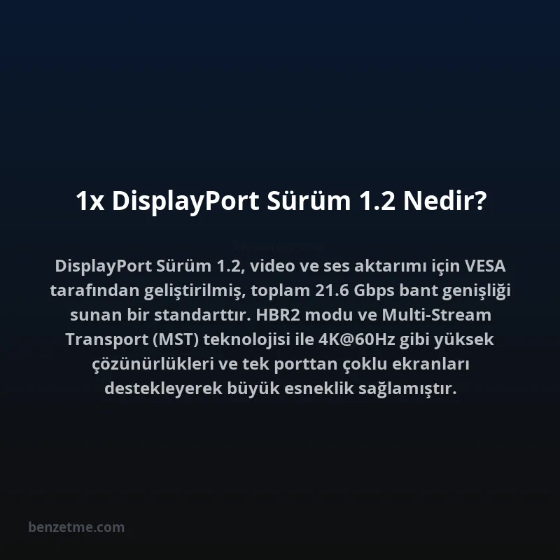 1x DisplayPort Sürüm 1.2 Nedir?
