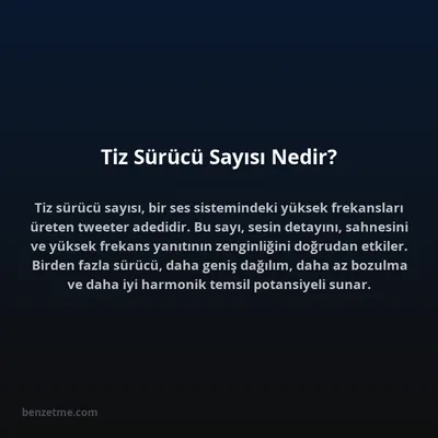 Tiz Sürücü Sayısı Nedir?