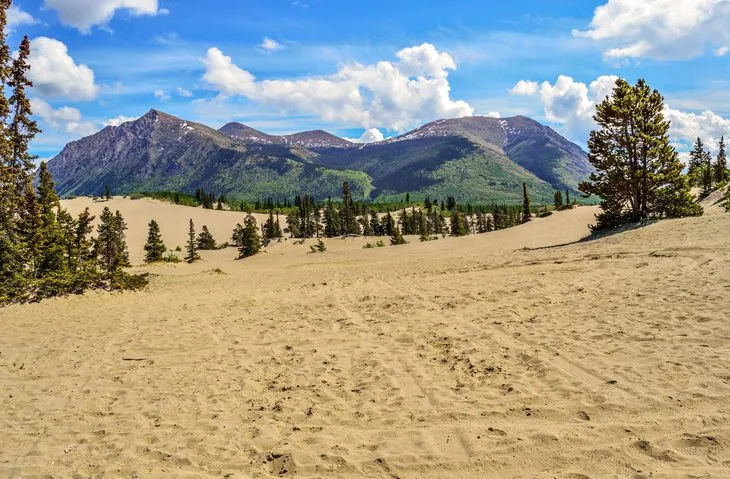Kanada'daki Carcross Kumulları: Dünyanın En Küçük Çölü mü, Devasa Kum Tepeleri mi?