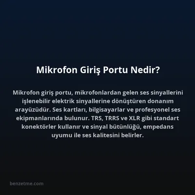 Mikrofon Giriş Portu Nedir?