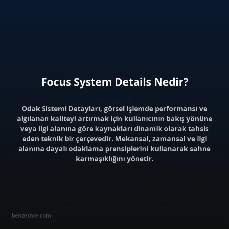 Focus System Details Nedir?