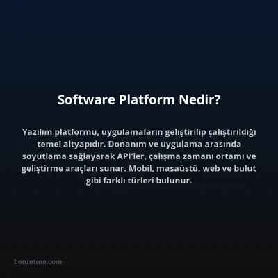 Software Platform Nedir?