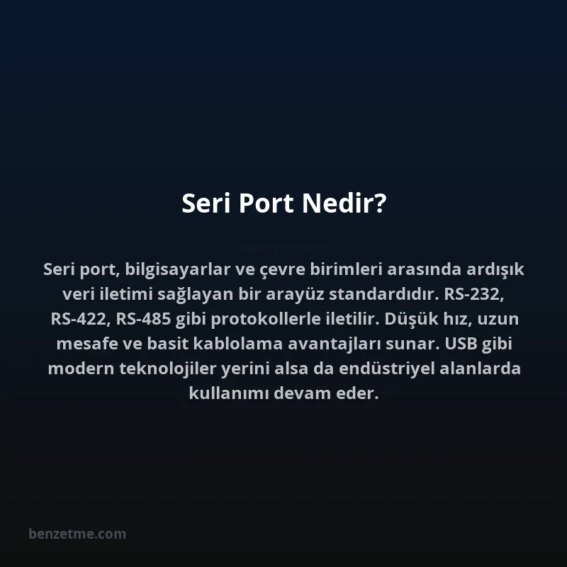 Seri Port Nedir?