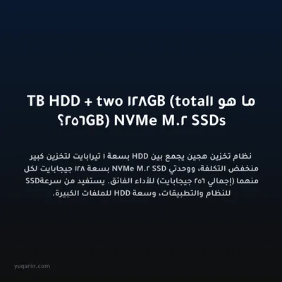 ما هو 1TB HDD + two 128GB (total 256GB) NVMe M.2 SSDs؟