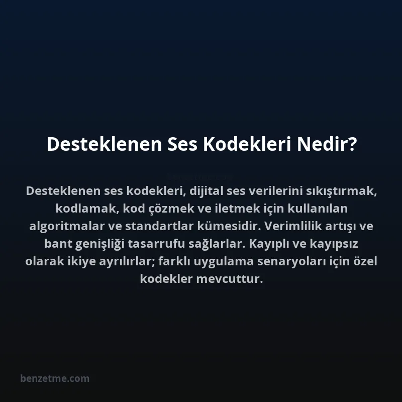 Desteklenen Ses Kodekleri Nedir?