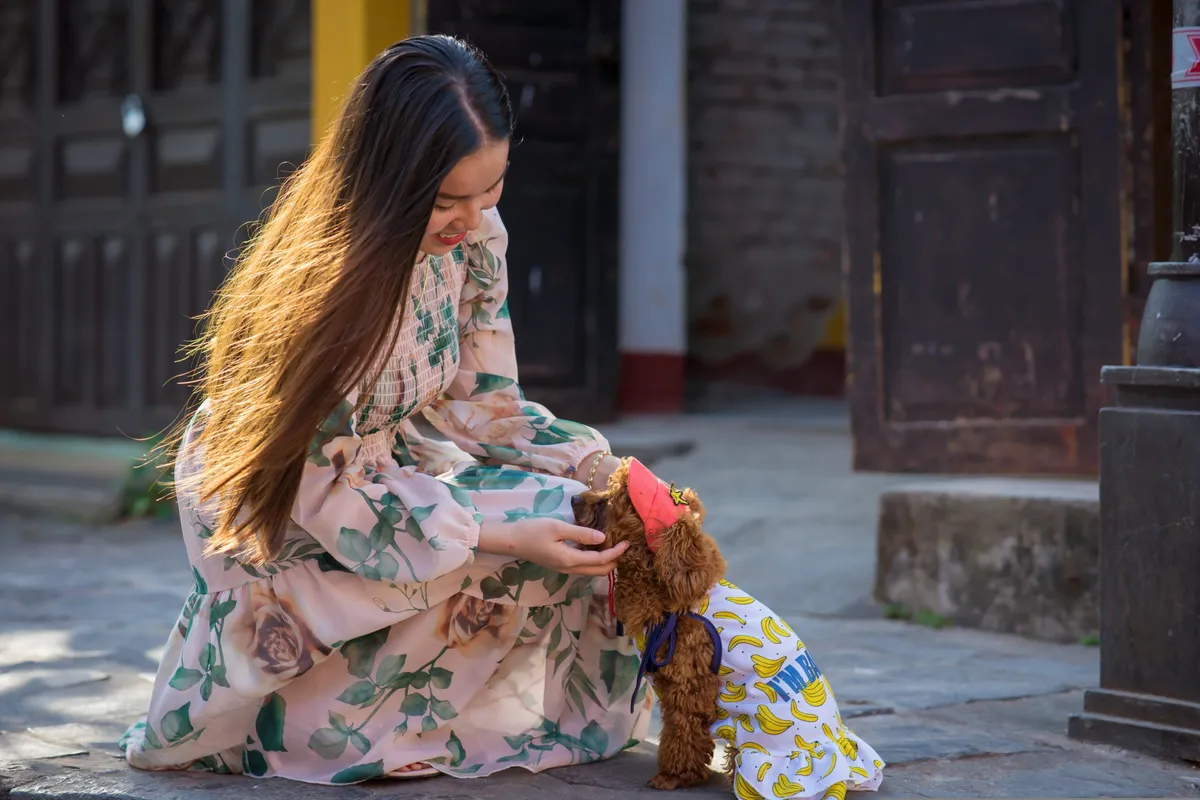 Köpek Takviyeleri Gerçekten İşe Yarıyor mu? Güvenlik, Kalite ve Sağlık Faydalarına Yakın Bakış