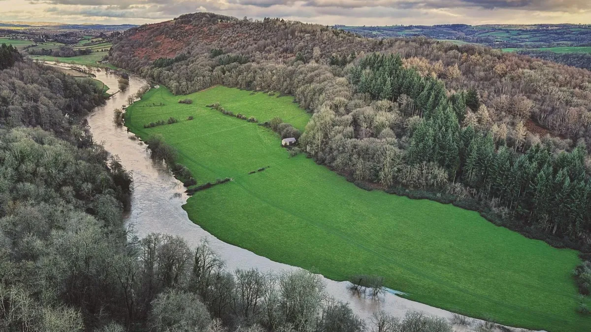 Nehir Kirliliği Davası: Avara Foods ve Welsh Water Yüksek Mahkemede Karşılıklı