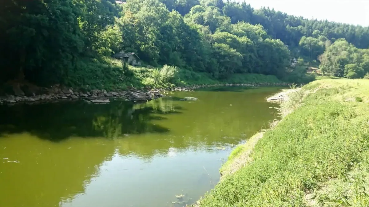 Nehir Kirliliği Davası: Avara Foods ve Welsh Water Yüksek Mahkemede Karşılıklı