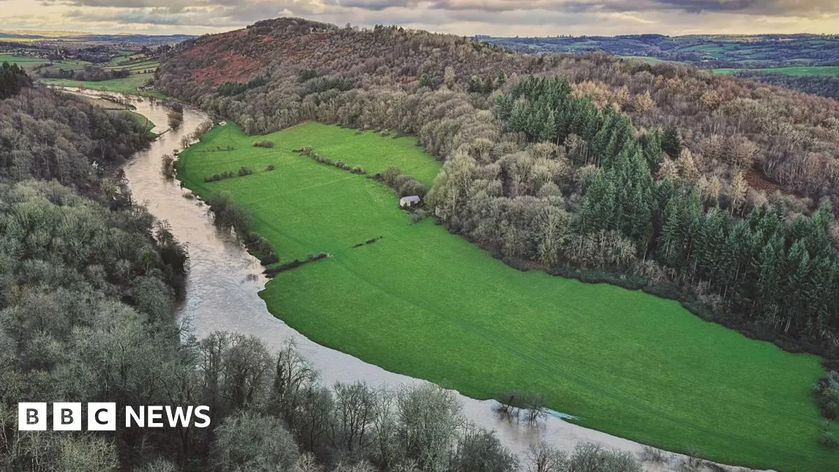 Nehir Kirliliği Davası: Avara Foods ve Welsh Water Yüksek Mahkemede Karşılıklı