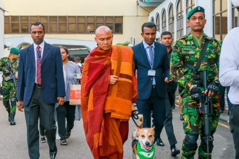 Barış Yürüyüşüyle Dünyayı Dolaşan Sokak Köpeği Aloka: Sri Lanka'da Merhamet ve Hayvan Hakları Mesajı
