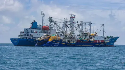 İklim Değişikliği Pasifik'in Ekonomik Omurgasını Tehdit Ediyor: Kiribati'nin Tuna Balıkçılığı Tehlikede