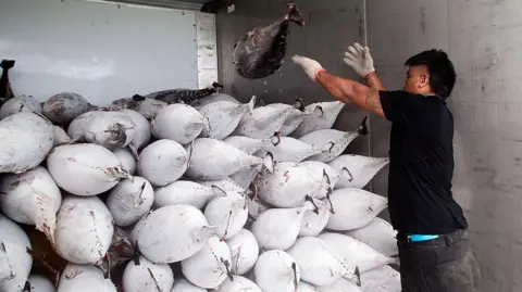 İklim Değişikliği Pasifik'in Ekonomik Omurgasını Tehdit Ediyor: Kiribati'nin Tuna Balıkçılığı Tehlikede