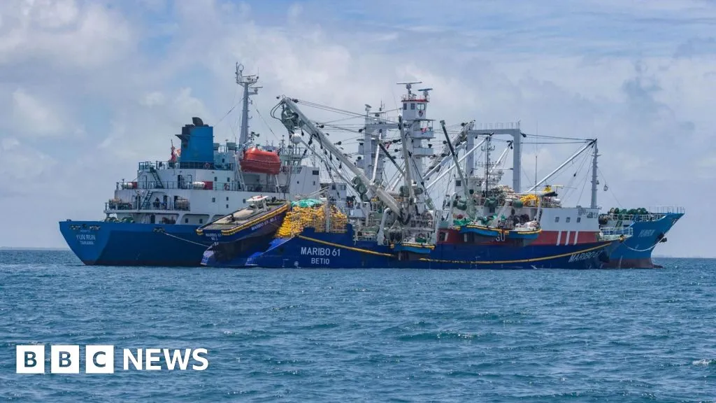 İklim Değişikliği Pasifik'in Ekonomik Omurgasını Tehdit Ediyor: Kiribati'nin Tuna Balıkçılığı Tehlikede