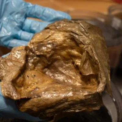 Mysterious Golden Orb Discovered in Ocean Depths Sparks Scientific Curiosity