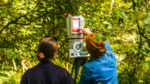 Wakehurst Bahçeleri Arı Popülasyonunu Artırmak İçin Yenilikçi Bir Çalışmaya İmza Atıyor