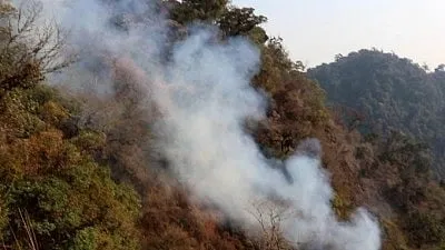 Uttarakhand'da Orman Yangınları Turizm Sezonunu Tehdit Ediyor: Sektör Endişeli
