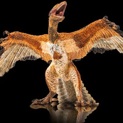 Feathered Dinosaur Fossil Discovery Revolutionized Understanding of Bird Evolution
