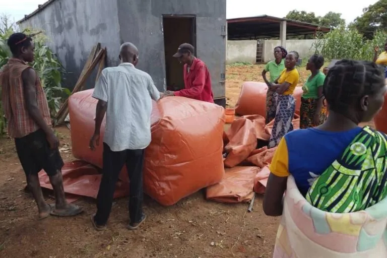 Zambiya'da İnek Gübresinden Elektrik: Nkhundye Köyü'nde Devrim Niteliğinde Biyogaz Projesi