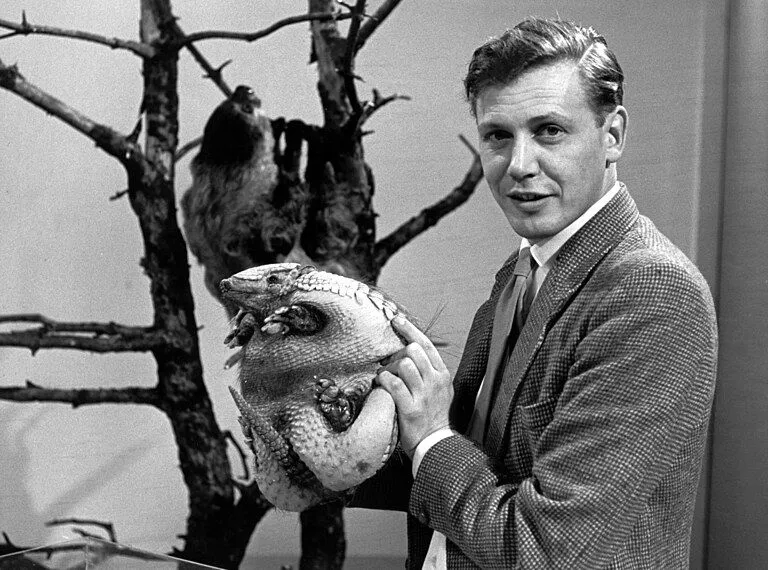 Sir David Attenborough'un Mirası: Doğaya Adanmış Bir Ömür ve İlham Kaynağı Olan Etkisi