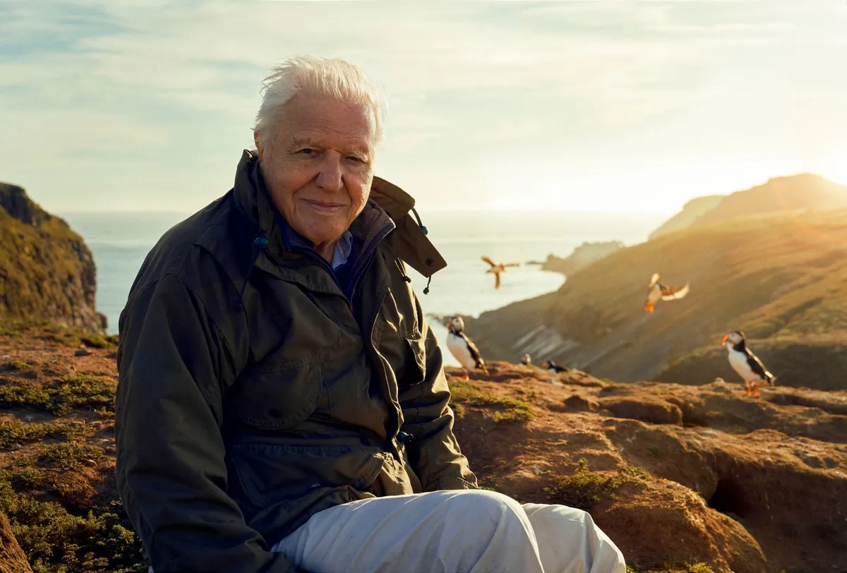 Sir David Attenborough'un Mirası: Doğaya Adanmış Bir Ömür ve İlham Kaynağı Olan Etkisi