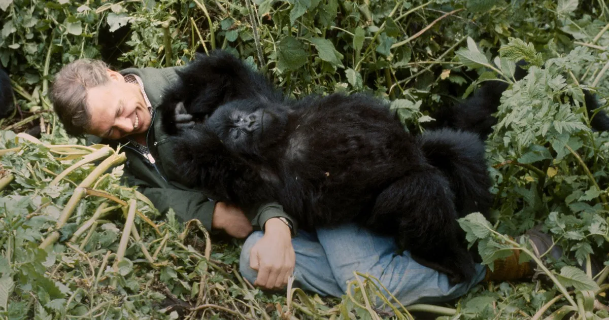 Sir David Attenborough'un Mirası: Doğaya Adanmış Bir Ömür ve İlham Kaynağı Olan Etkisi