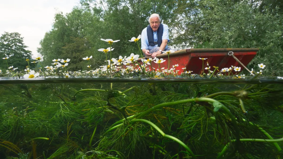 Sir David Attenborough'un Mirası: Doğaya Adanmış Bir Ömür ve İlham Kaynağı Olan Etkisi