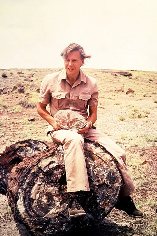 Sir David Attenborough'un Mirası: Doğaya Adanmış Bir Ömür ve İlham Kaynağı Olan Etkisi