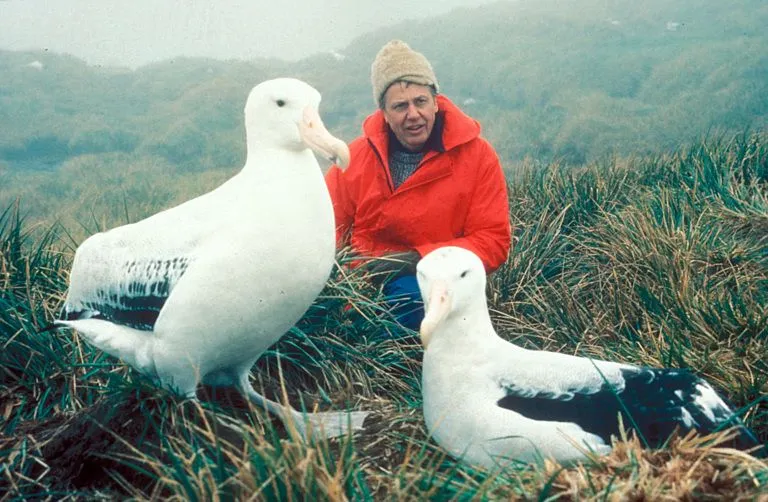 Sir David Attenborough'un Mirası: Doğaya Adanmış Bir Ömür ve İlham Kaynağı Olan Etkisi
