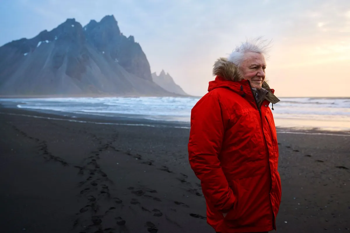 Sir David Attenborough'un Mirası: Doğaya Adanmış Bir Ömür ve İlham Kaynağı Olan Etkisi