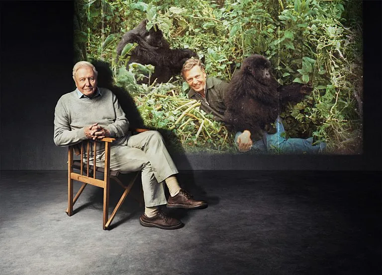 Sir David Attenborough'un 100. Yaşı: Efsanevi Doğacıyı Anma Özel Yayınları