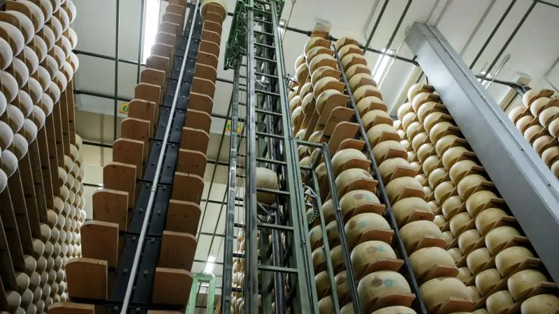 Parmigiano Reggiano'nun Değerli Sırları: Lojistikten Finansmana Uzanan Yolculuk