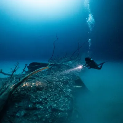 Cenote Angelita: Exploring Mexico's Ethereal Underwater 'Cloud' and Submerged Forest