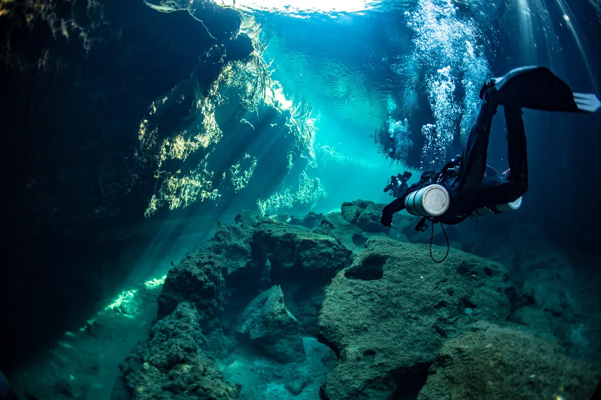 Cenote Angelita: Meksika'nın Gizemli Sualtı Bulutu ve Batık Ormanı