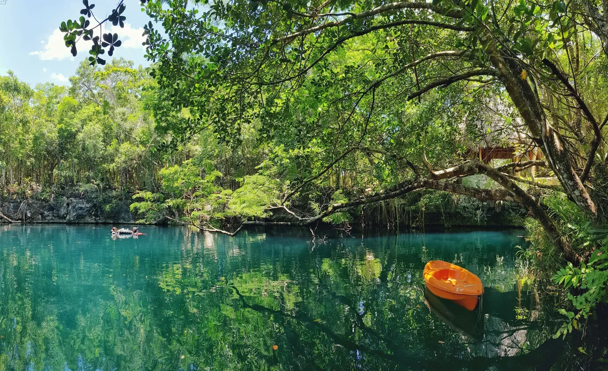 Cenote Angelita: Meksika'nın Gizemli Sualtı Bulutu ve Batık Ormanı
