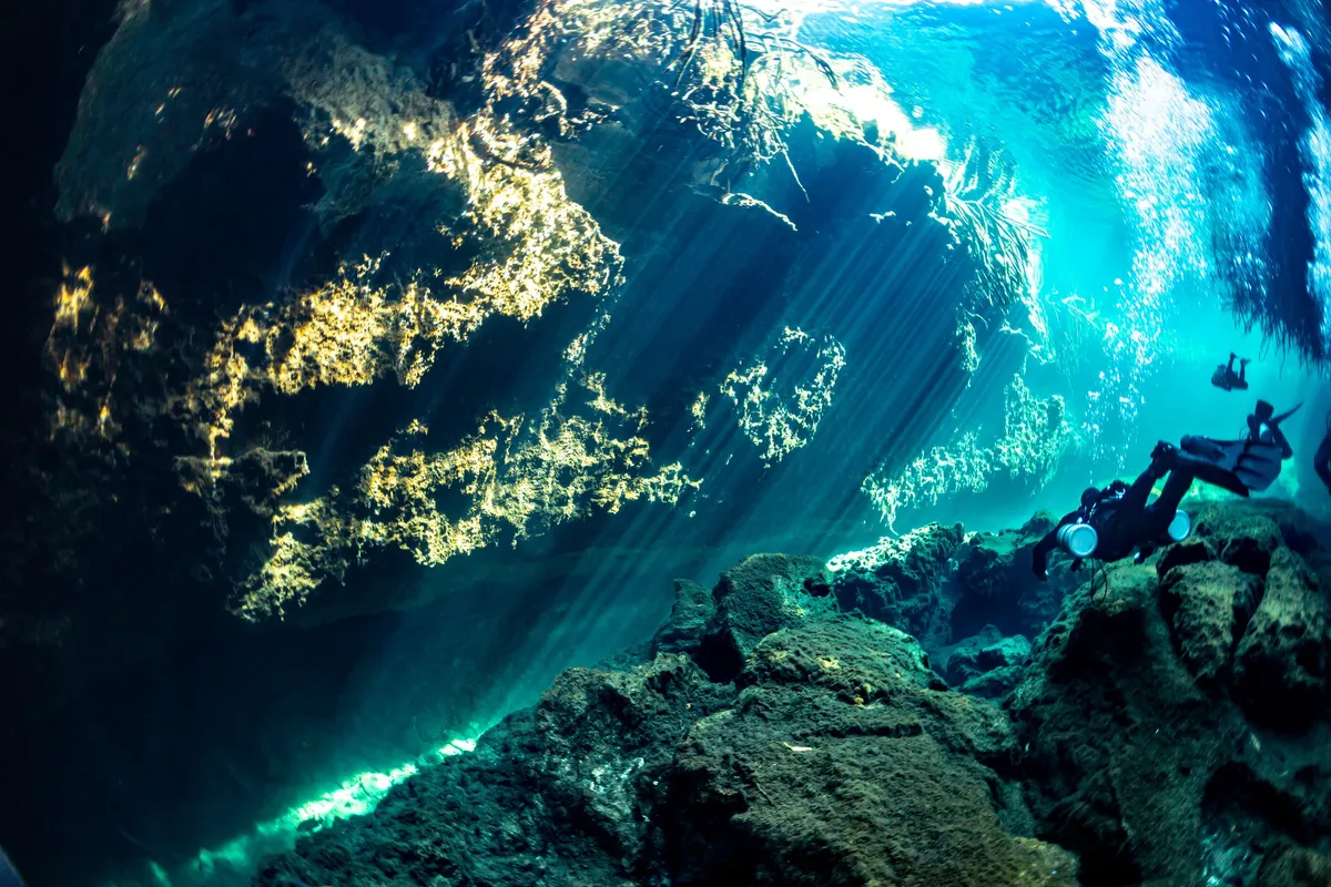 Cenote Angelita: Meksika'nın Gizemli Sualtı Bulutu ve Batık Ormanı