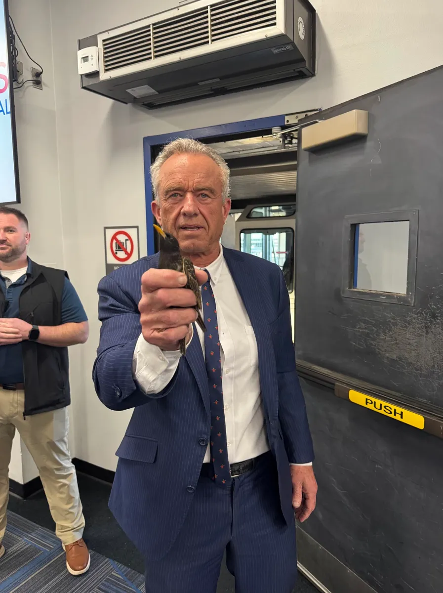 ABD Sağlık Bakanı Robert F. Kennedy Jr.'dan Şaşırtan Görüntüler: Havaalanında Starling Kuşuyla Çekilen Fotoğrafı Sosyal Medyayı Salladı
