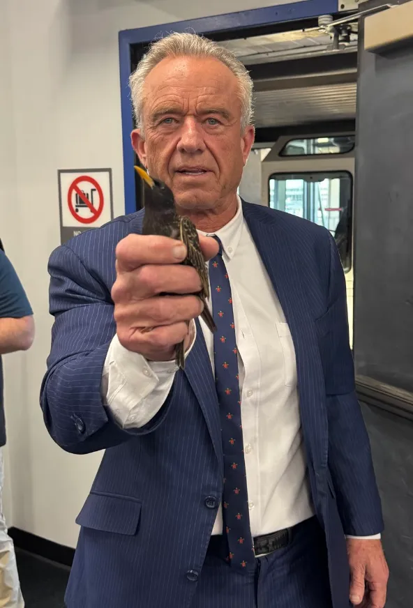 ABD Sağlık Bakanı Robert F. Kennedy Jr.'dan Şaşırtan Görüntüler: Havaalanında Starling Kuşuyla Çekilen Fotoğrafı Sosyal Medyayı Salladı